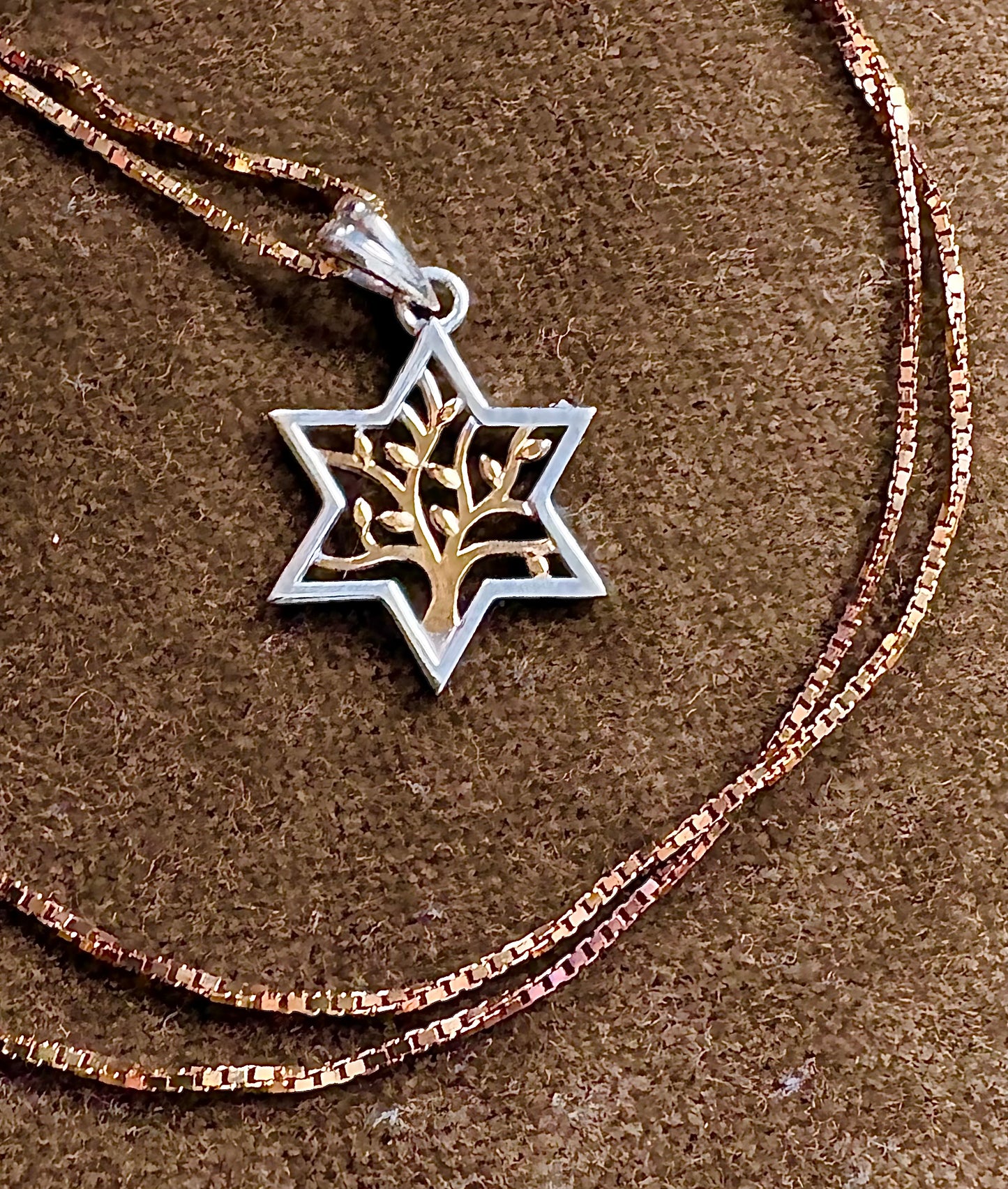 Sterling Silver/Gold Plated Tree of Life Star of David Pendant Necklace