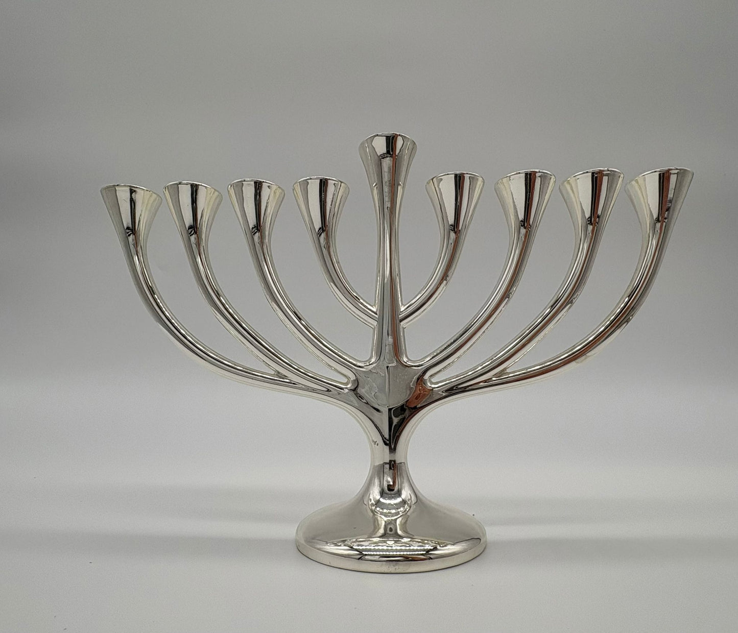 Tree of Life Hanukkiah – Silver Plated