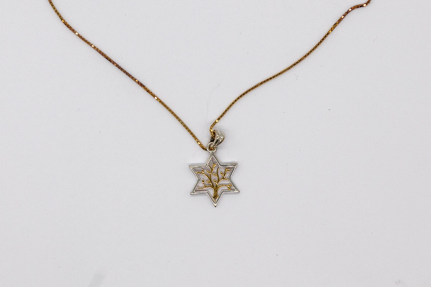 Sterling Silver/Gold Plated Tree of Life Star of David Pendant Necklace